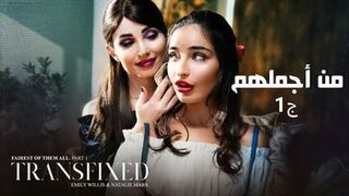 من أجملهم ج1- سكس شيميل متحولين مترجم